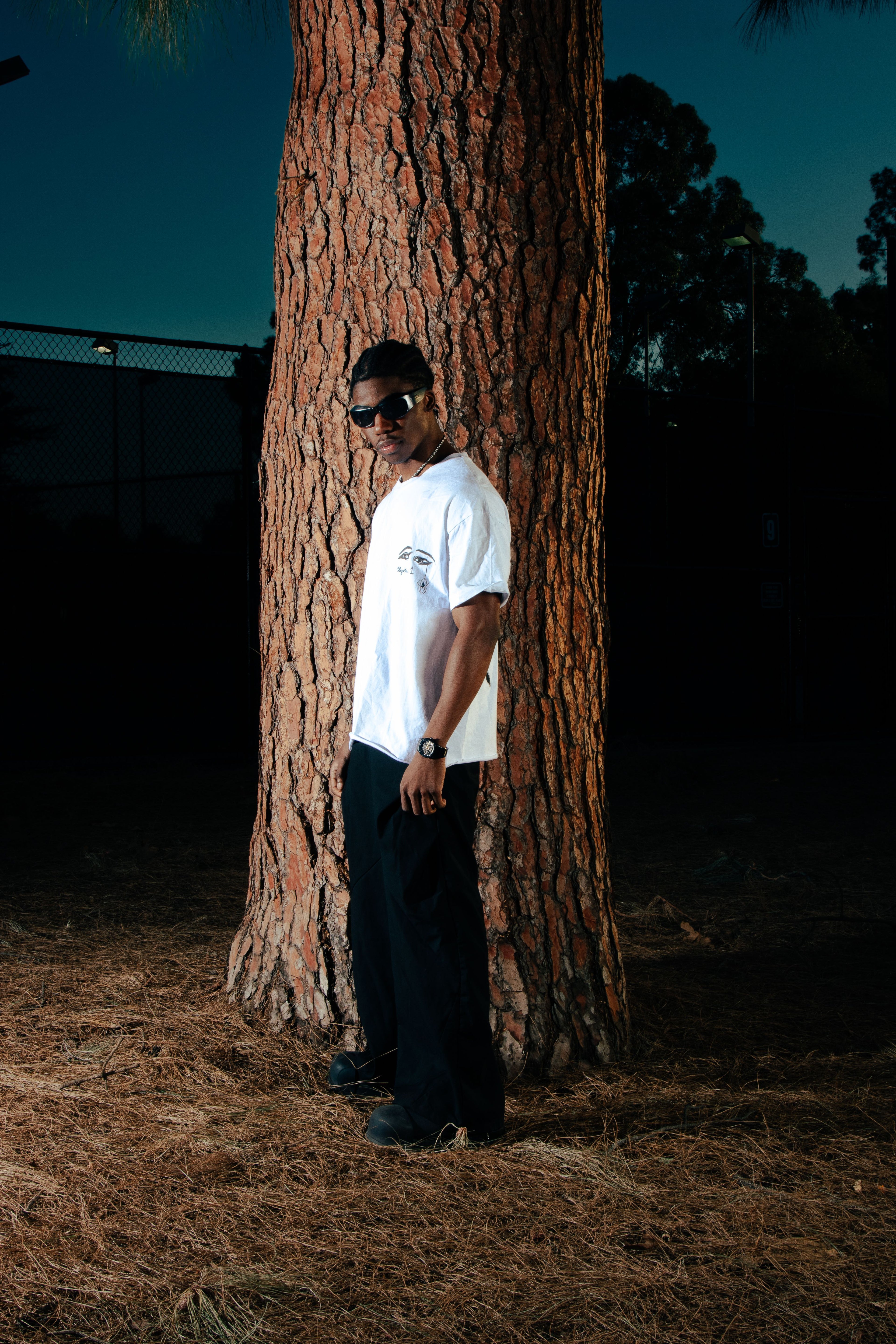 Alone Spider Tee